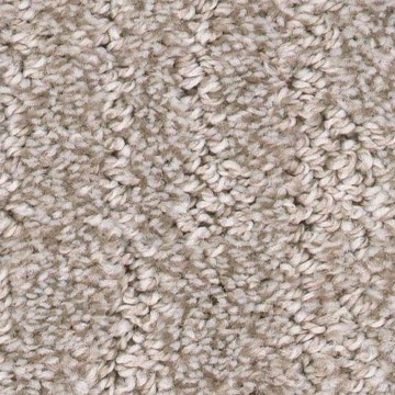 Carpet swatch | Bobs Discount Carpet Inc